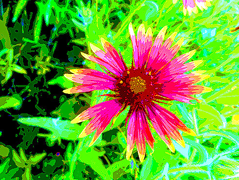 highflower