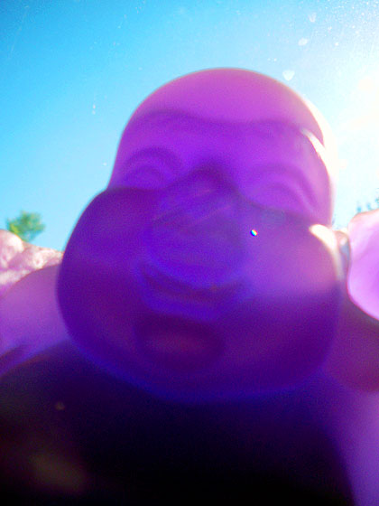 purplebuddha