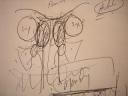 eyeballs