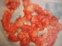 polyps on napkin