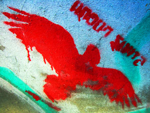 red bird (foto by Lady)