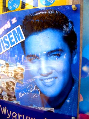 dead elvis by smith