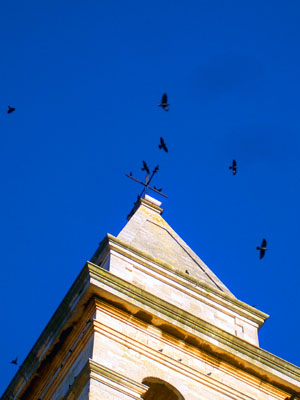 foto by smith