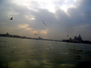 foto by smith