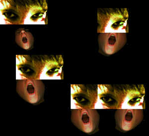 collage by Lady photo by smith xerox by lady