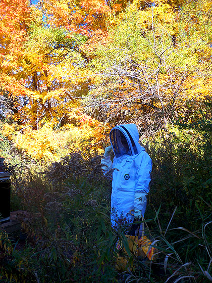 beesuitlady