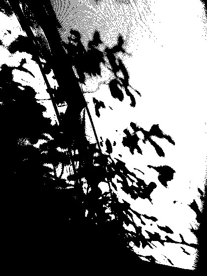 lastleaf