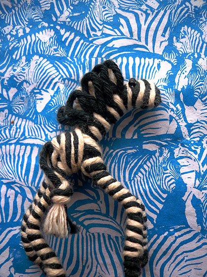 zebras