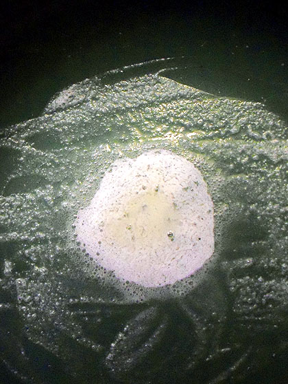 butterpan