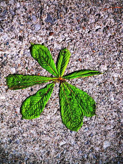 greenleaf