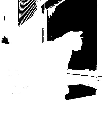 psychocat
